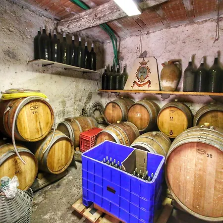 度假居 In Umbria Near Trasimeno Gualdo Cattaneo