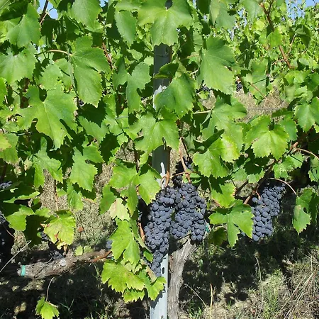 In Umbria Near Trasimeno